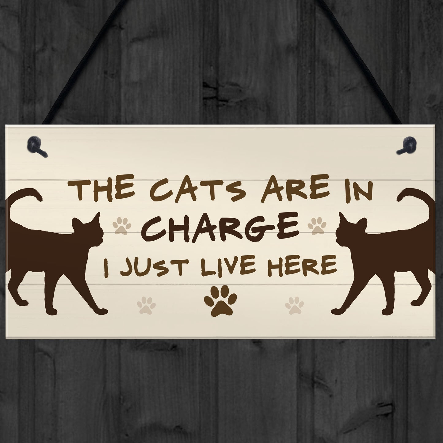The Cats Are In Charge Hanging Sign Funny Cat Gift Home Decor