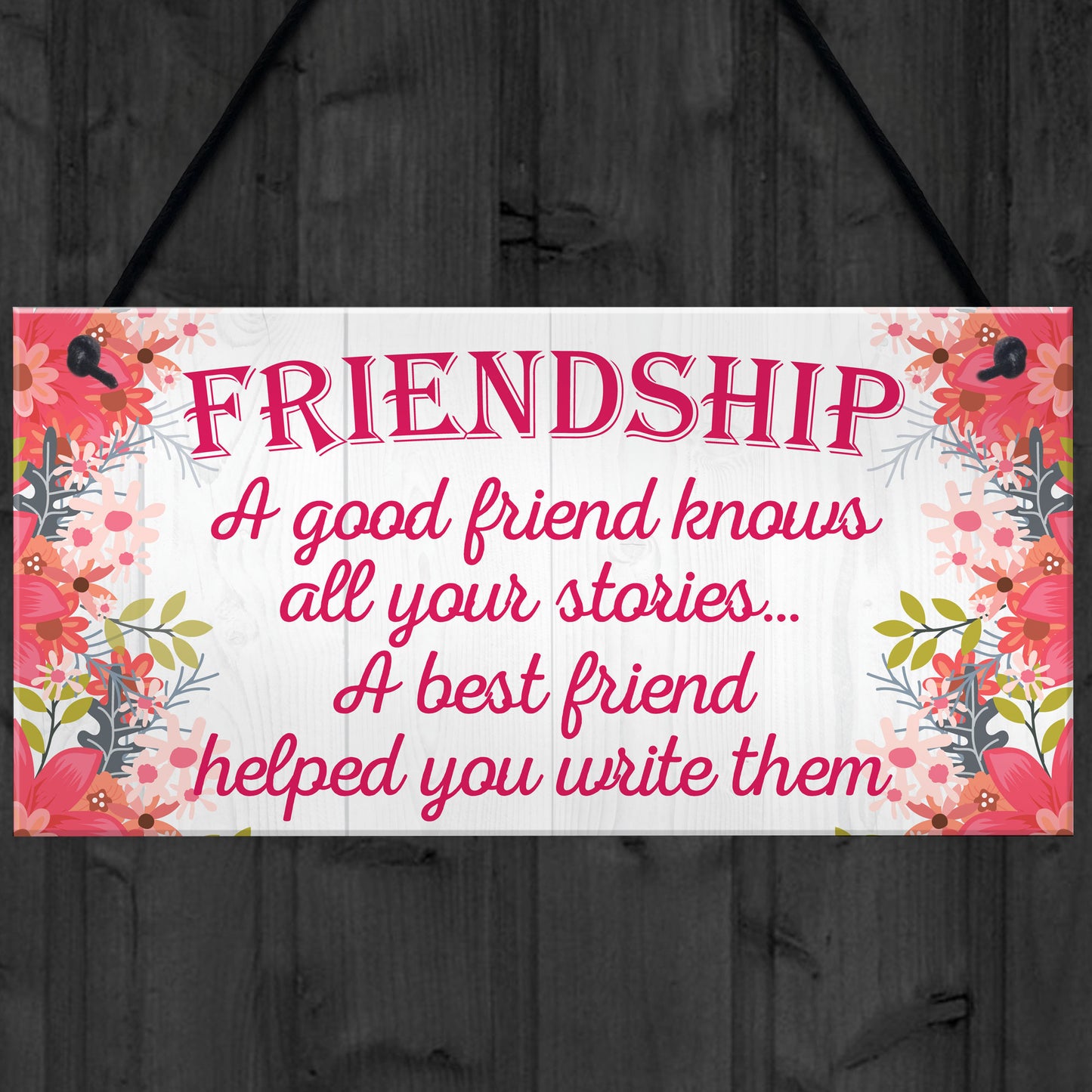Friendship Stories Funny Best Friend Love Gift Hanging Plaque