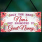 BEST NANS Promoted To GREAT NANNY Pregnancy Gift Hanging Plaque