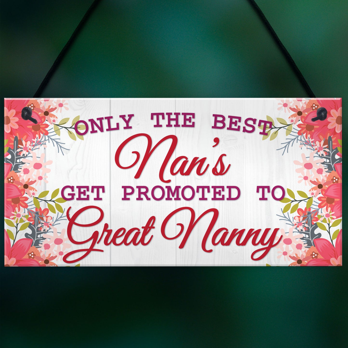 BEST NANS Promoted To GREAT NANNY Pregnancy Gift Hanging Plaque