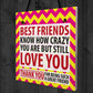 Best Friends Crazy Christmas Home Friendship Gift Hanging Plaque