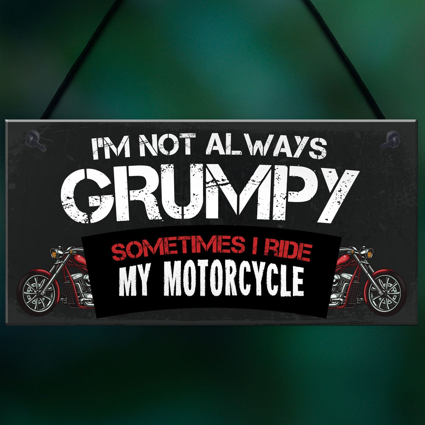 Funny Motorbike Plaque For Bikers Gift For Biker Enthusiast