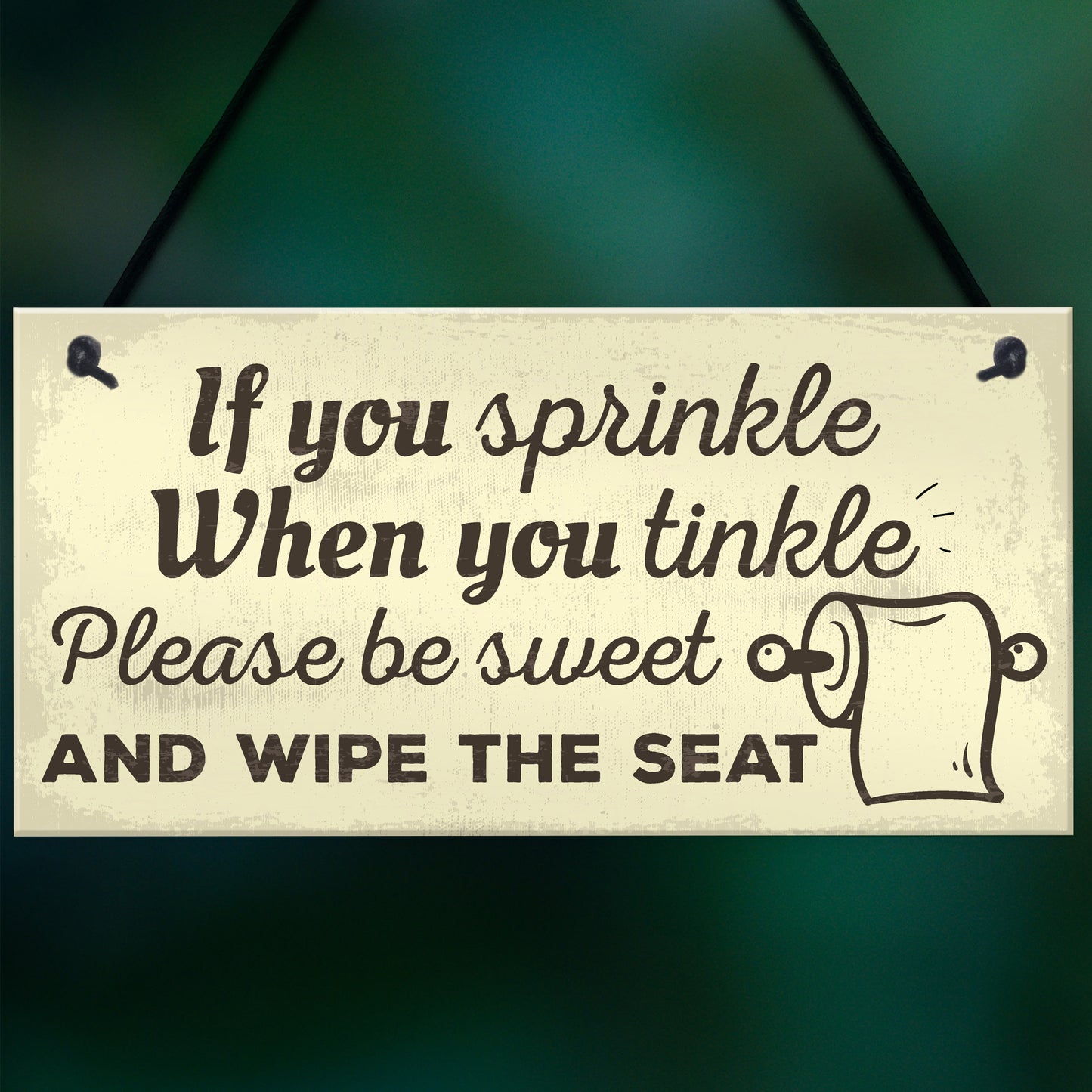 Funny Toilet Bathroom Sign For Door Hanging Plaque For House