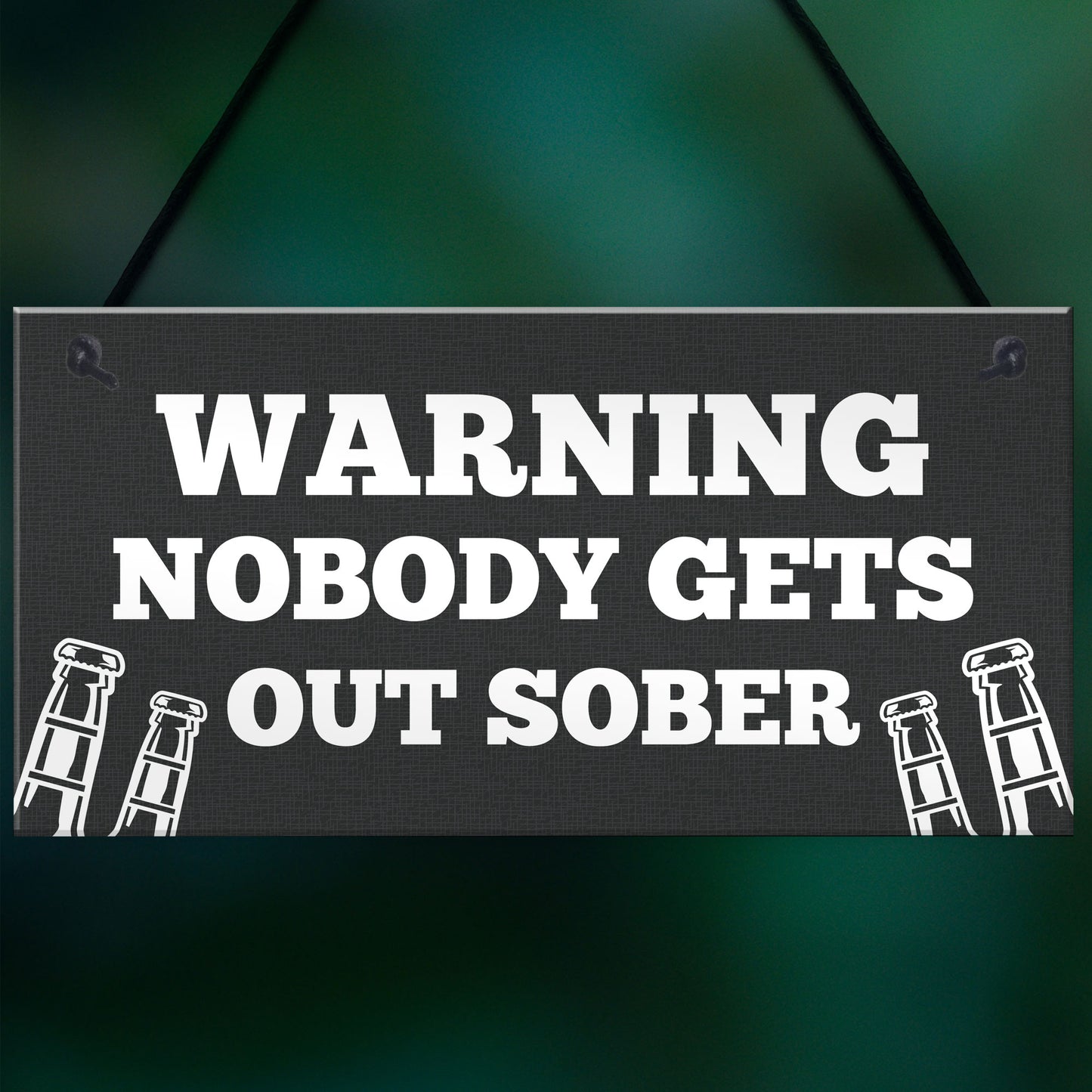 Funny WARNING Sign For Bar Home Bar Pub Hanging Wall Door Sign