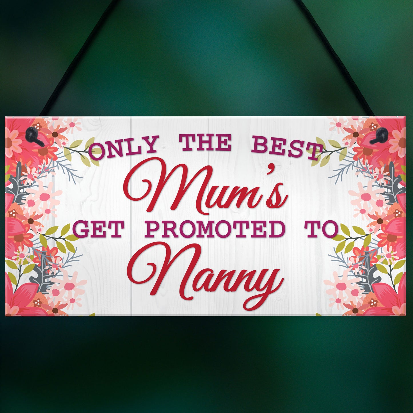 BEST MUMS Promoted to NANNY Pregnancy Gift Baby Hanging Plaque