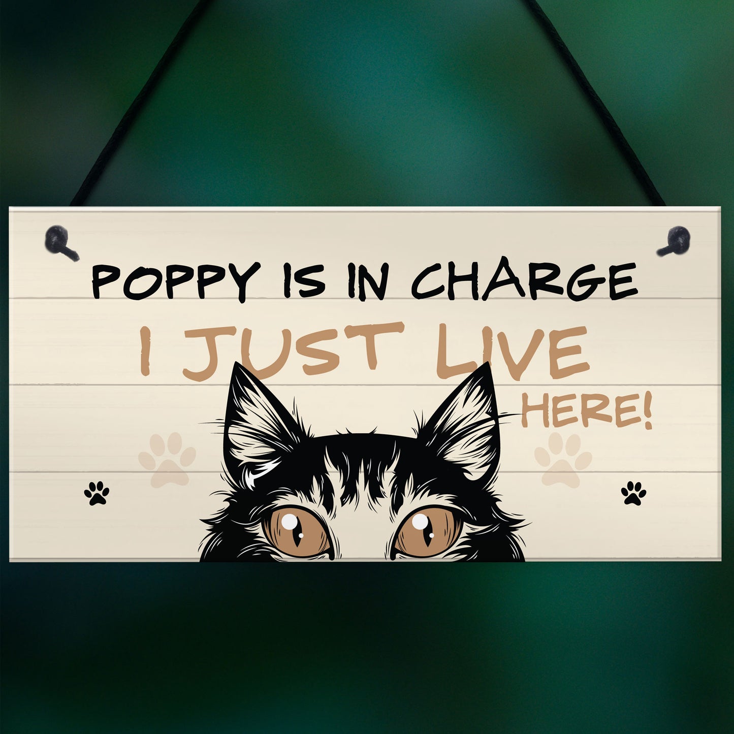 Funny Cat Sign In Charge Cat Lovers Gift For Women Home Decor