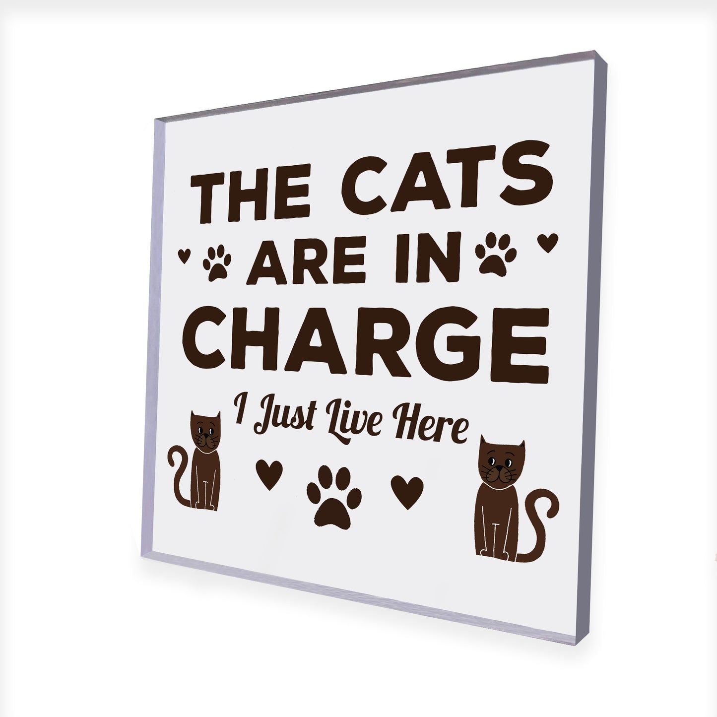 Funny Cat Gifts For Cat Lover Gift For Women Acrylic Animal Sign