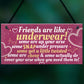 Best Friend Funny Gifts Shabby Chic Plaque Birthday Christmas