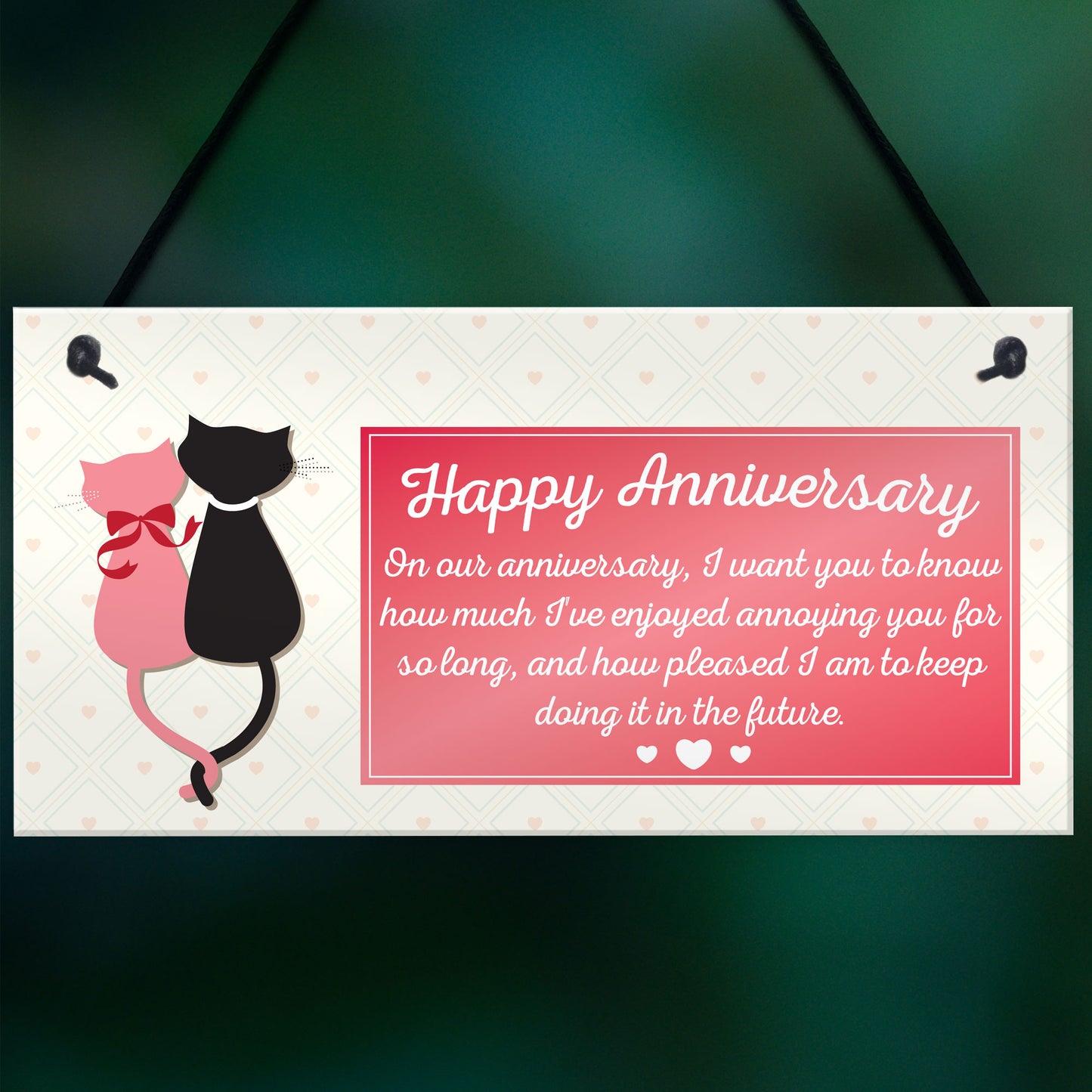 Anniversary Annoying Funny Marriage Couples Gift Hanging Plaque