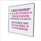 Best Friend Plaque Friendship Gift Novelty Birthday Christmas