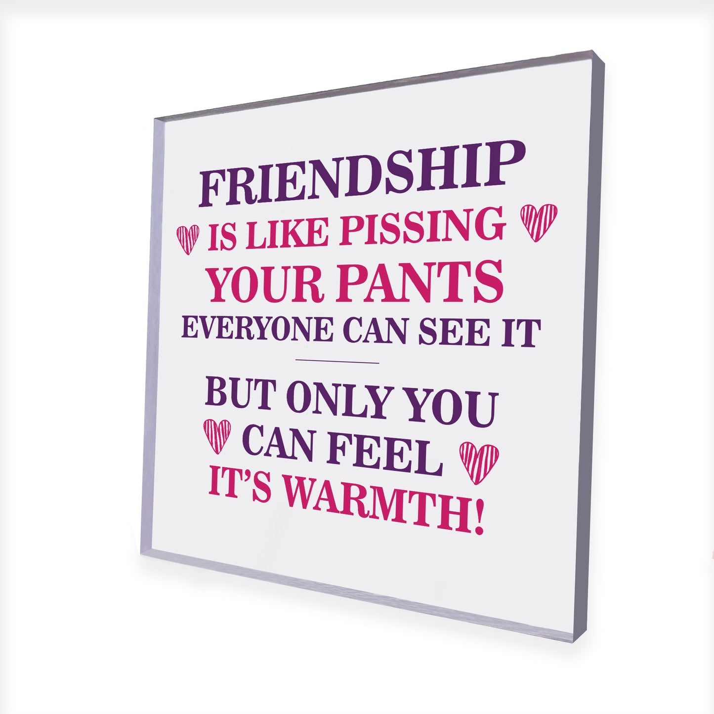 Best Friend Plaque Friendship Gift Novelty Birthday Christmas