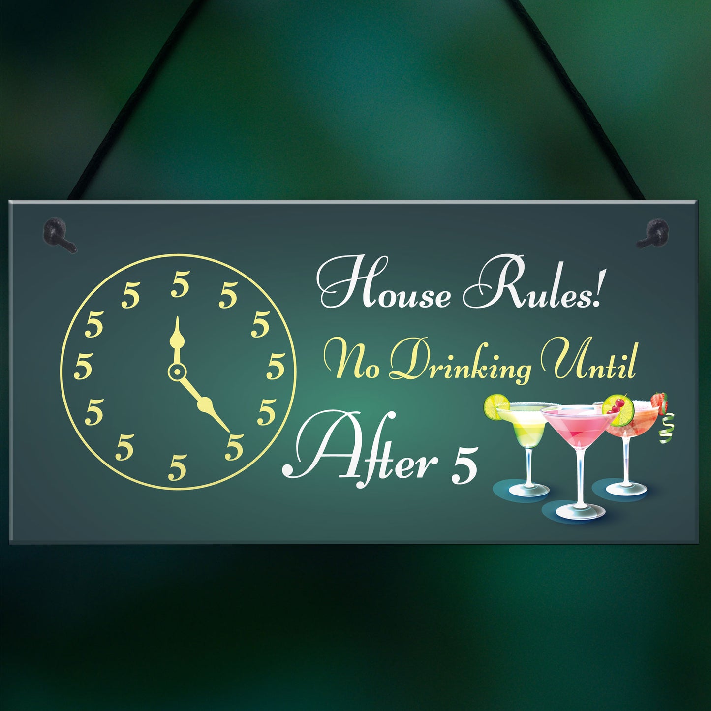 Funny Bar Sign Home Bar Pub Kitchen Hanging Sign Gin Wine Gift