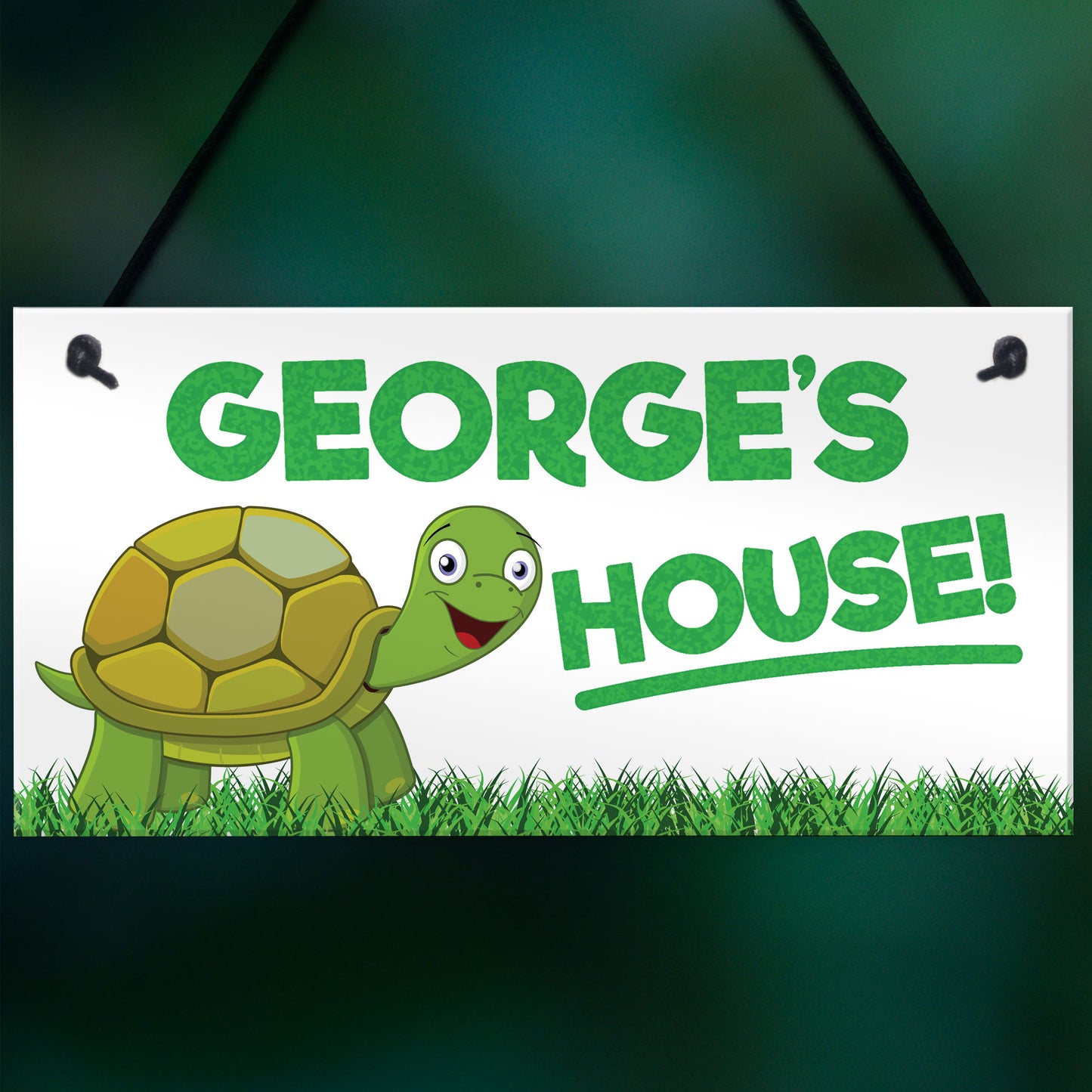 Personalised Pet Turtle House Hanging Plaque