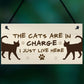 The Cats Are In Charge Hanging Sign Funny Cat Gift Home Decor