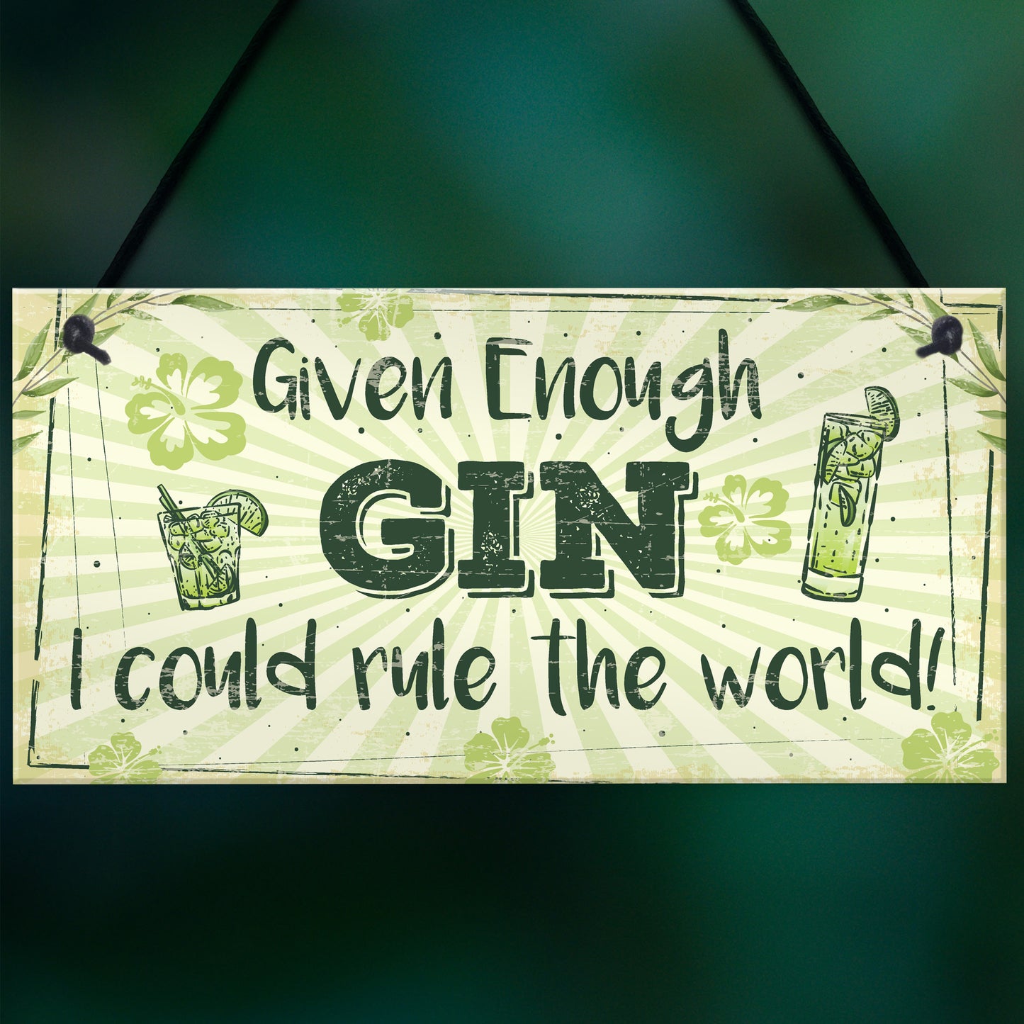 Funny Gin Sign Gin And Tonic Gift Man Cave Home Bar Kitchen Sign