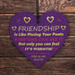 Best Friend Plaque Friendship Gifts For Her Wooden Heart