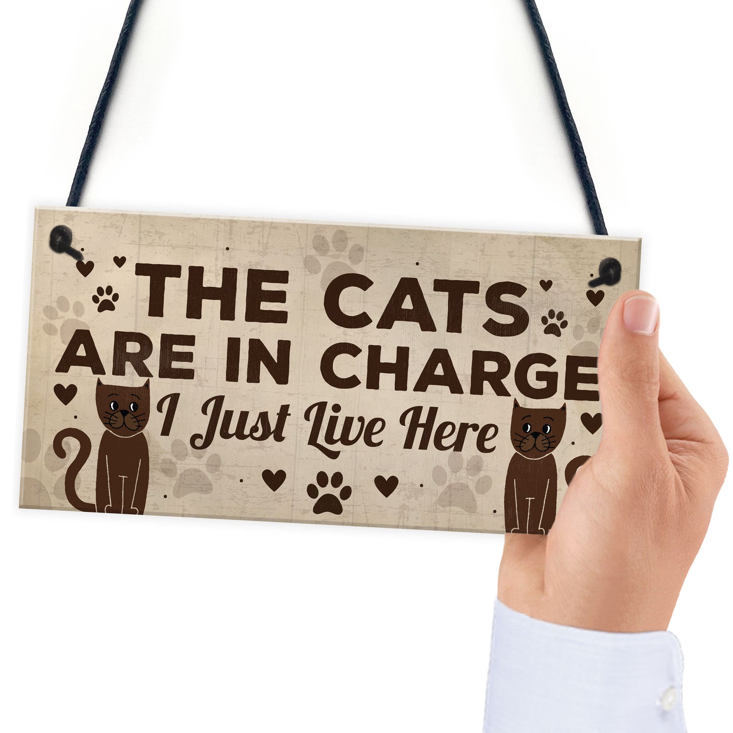 Funny Cat Gifts For Cat Lovers 3 Pack Gift For Women Home Decor