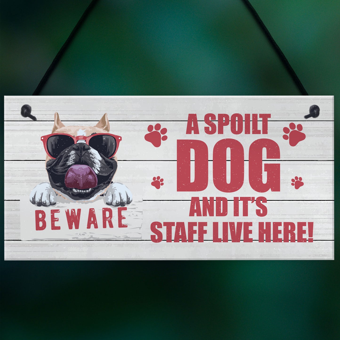 Novelty Beware Sign Dog Sign Pet Sign Pet Gift For Family