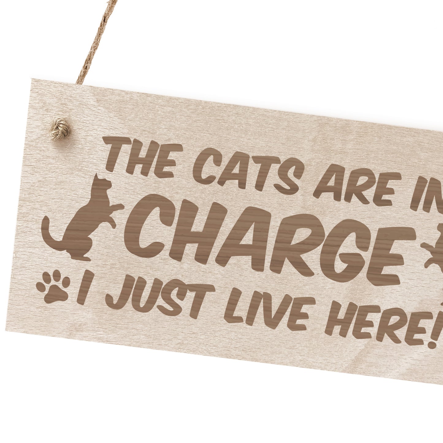 Funny Cat Gifts For Cat Lovers Hanging Wood Sign Home Decor