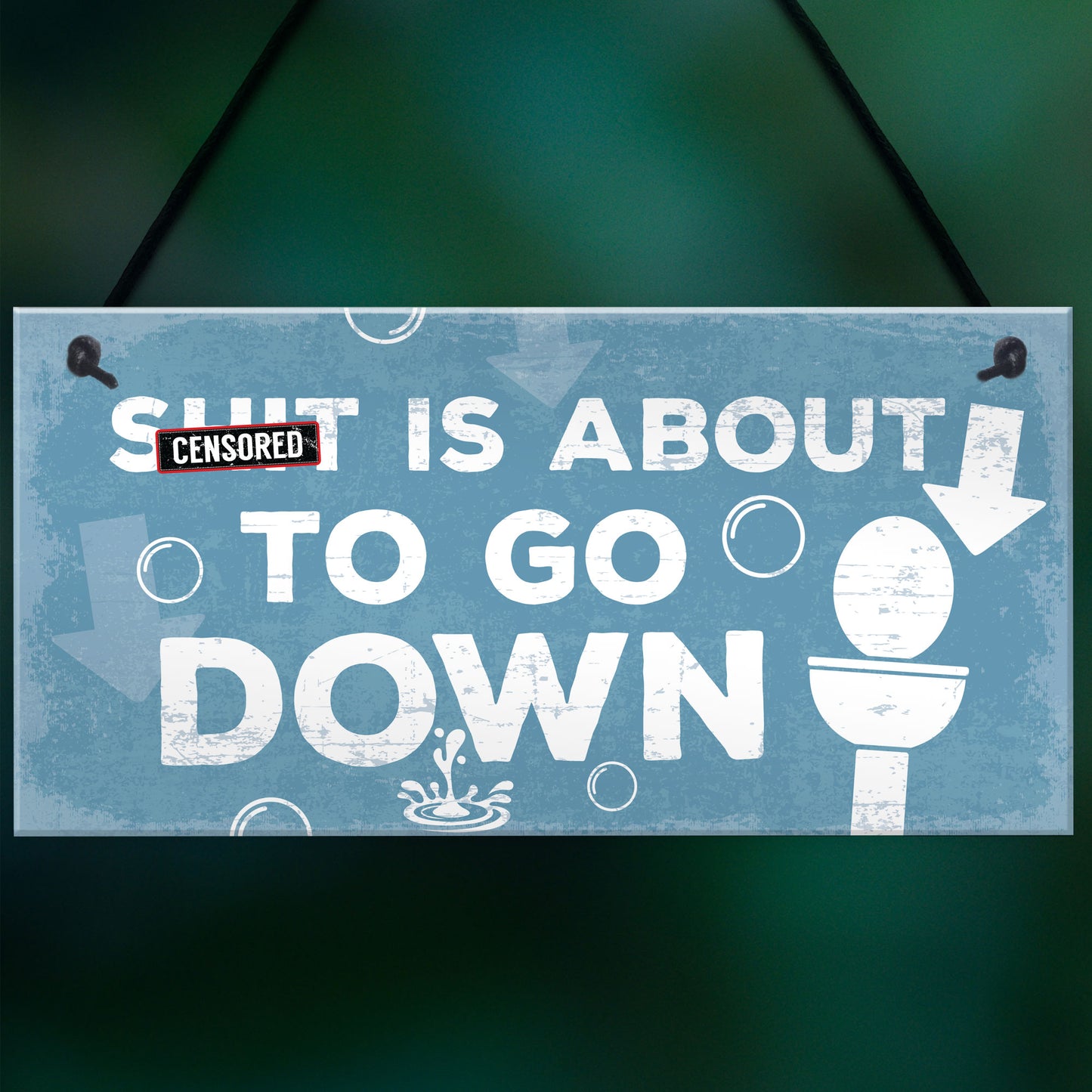 Funny Nautical Bathroom Toilet Loo Wall Plaque Humourous Gift
