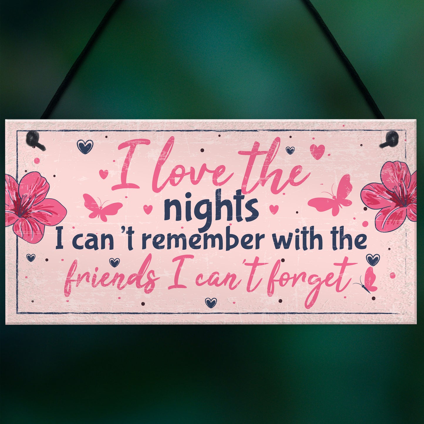 Funny Friendship Sign Gift Best Friend Hanging Plaque Birthday