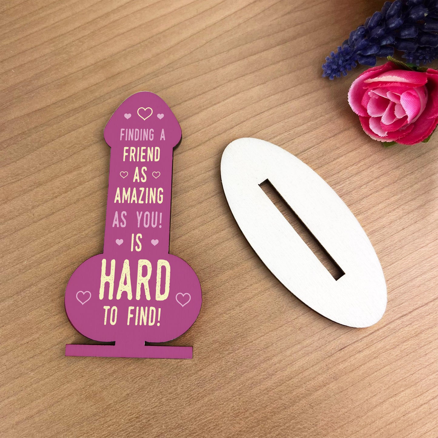 Funny Rude Friendship Plaque Novelty Plaque Birthday Friend Joke