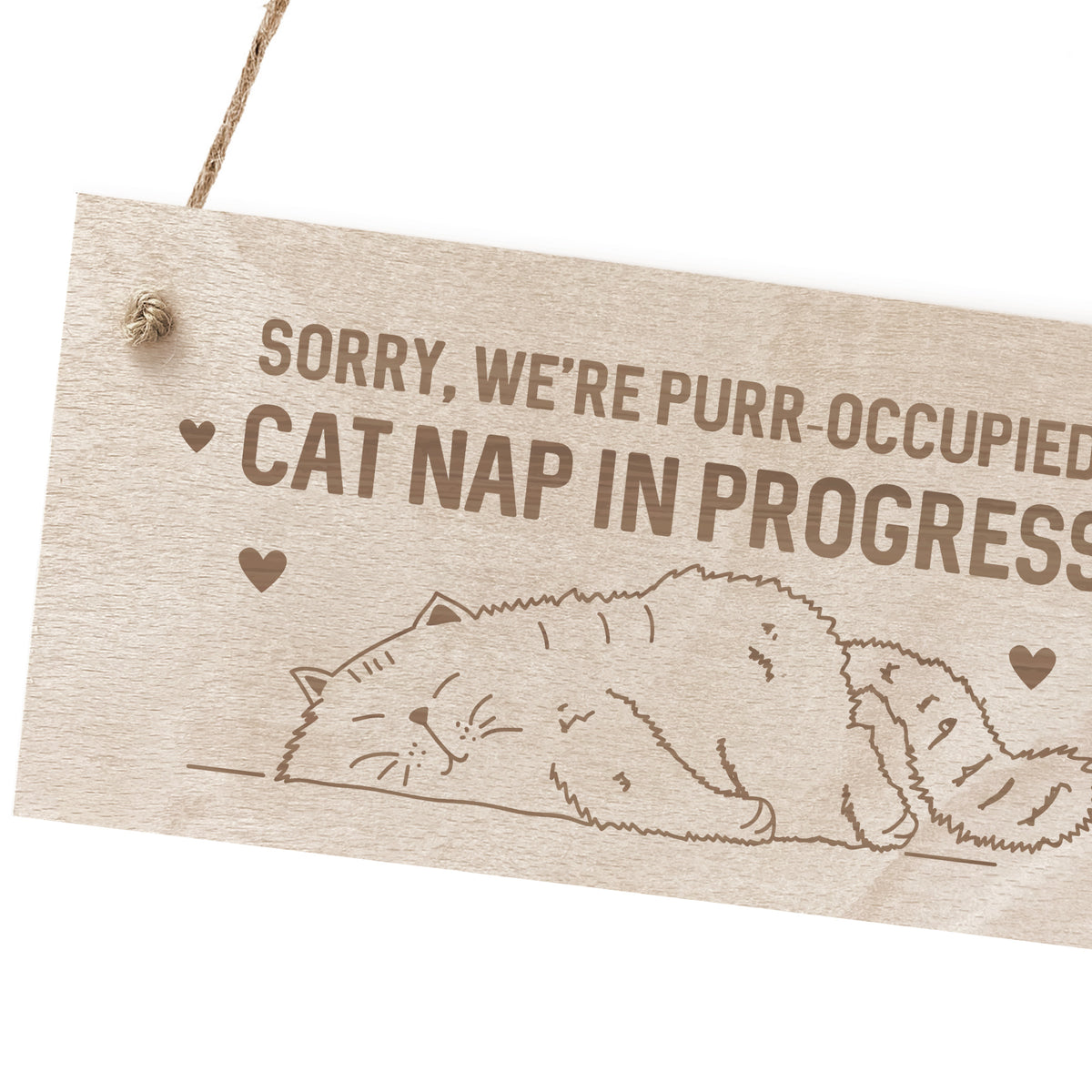 Funny Cat Gifts For Cat Lovers Cat Signs Gift For Women Engraved