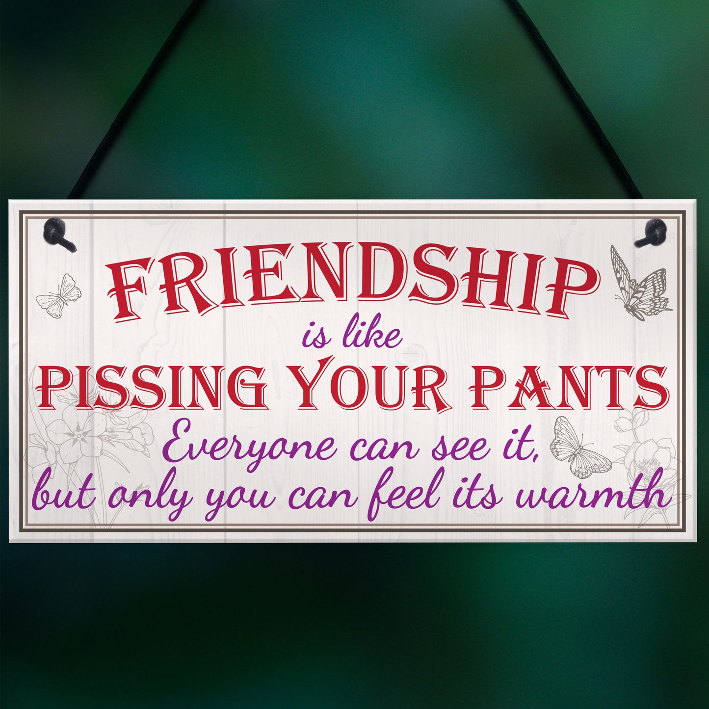 Friendship Pants Best Friend Gift Thank You Funny Hanging Plaque