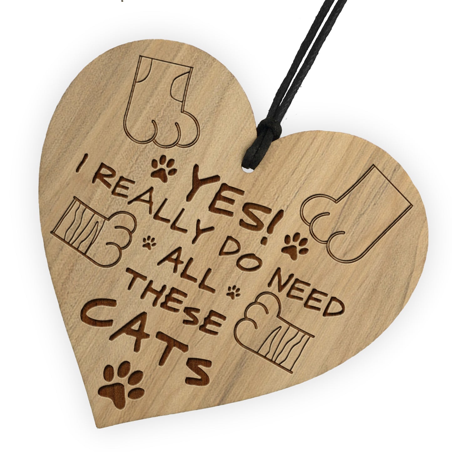I REALLY DO NEED ALL THESE CATS Funny Cat Sign Cat Gifts