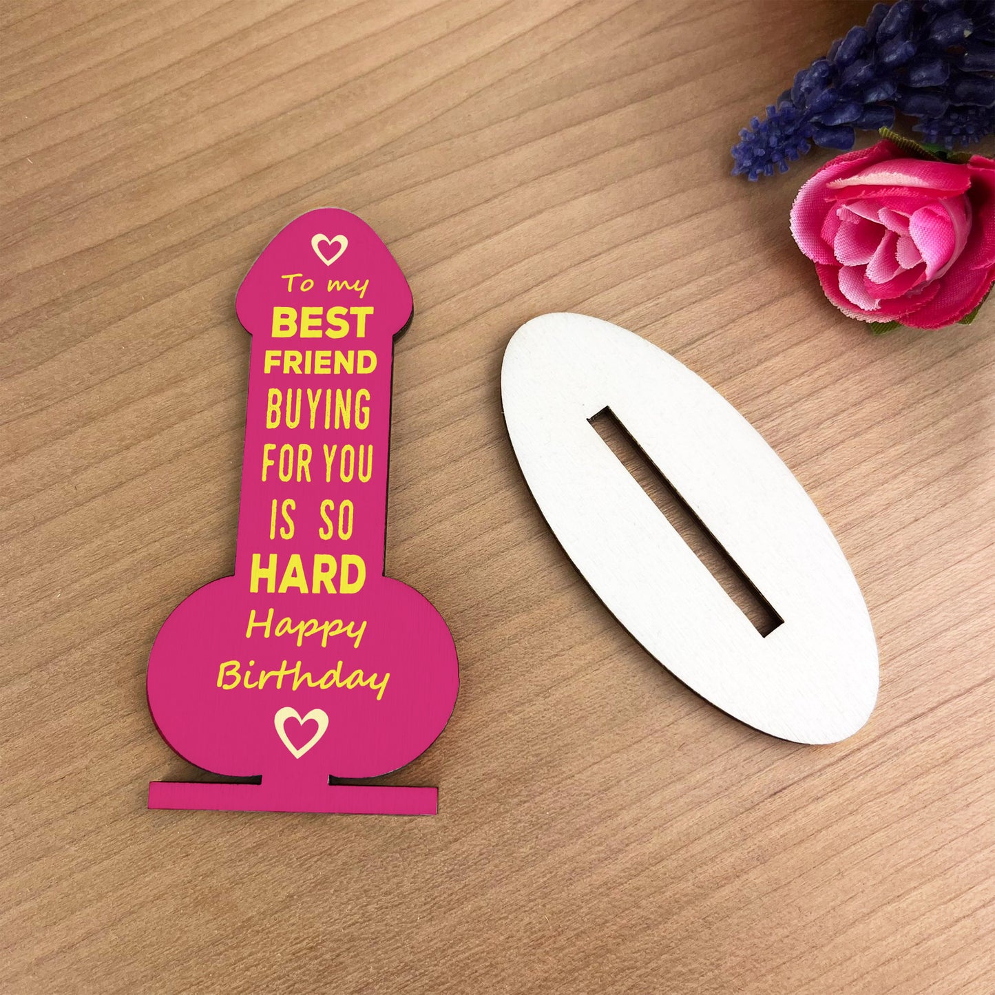Funny Friendship Plaque Joke Novelty Birthday Gift For Friend