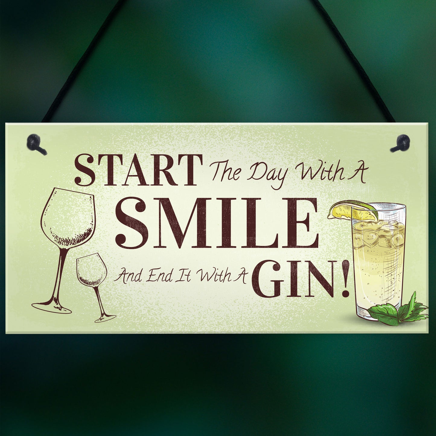Funny Gin Gift Hanging Kitchen Bar Plaque Gin Lover Gift