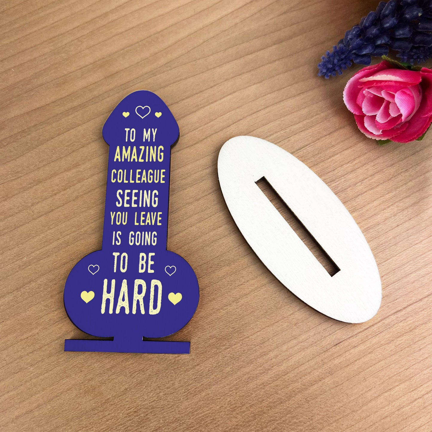 Colleague Gifts Funny Wooden Plaque Gift For Friend Birthday