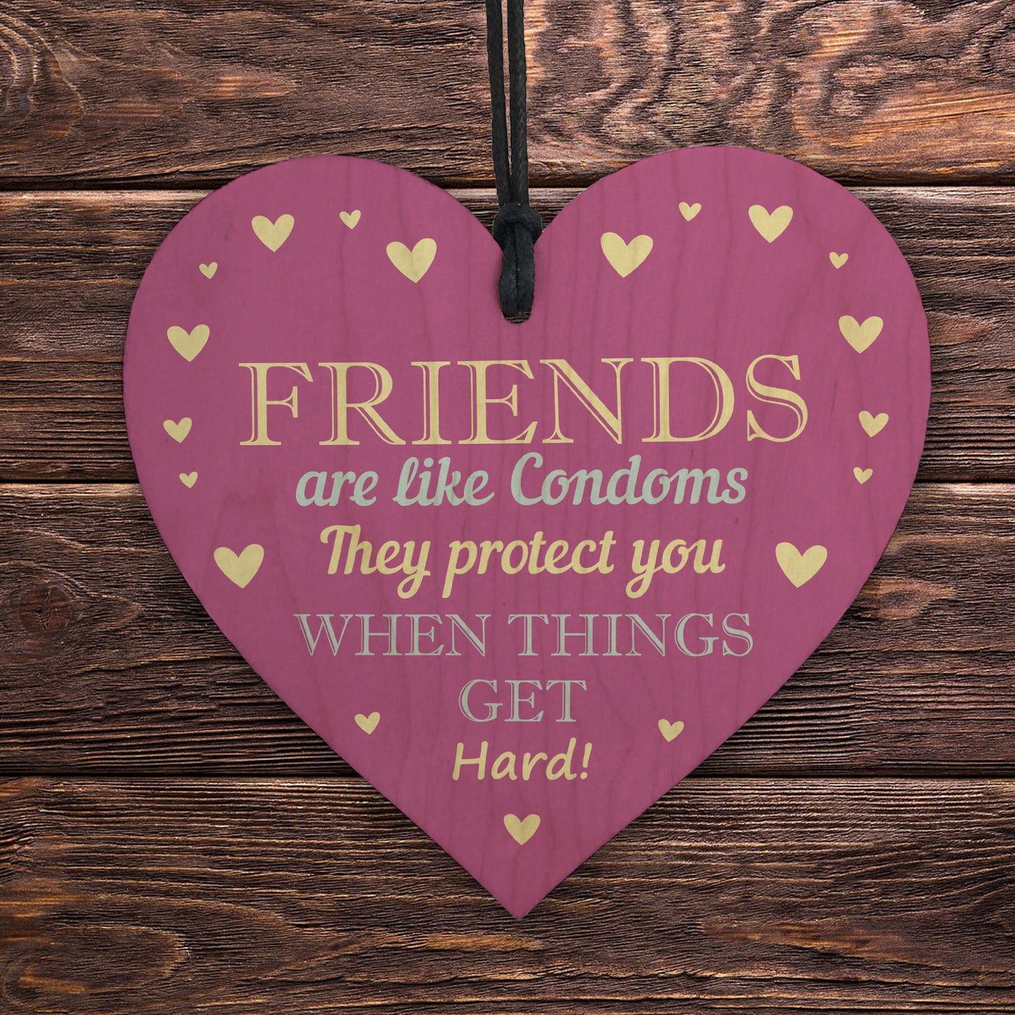 Funny Rude Friendship Sign Joke Birthday Christmas Gift