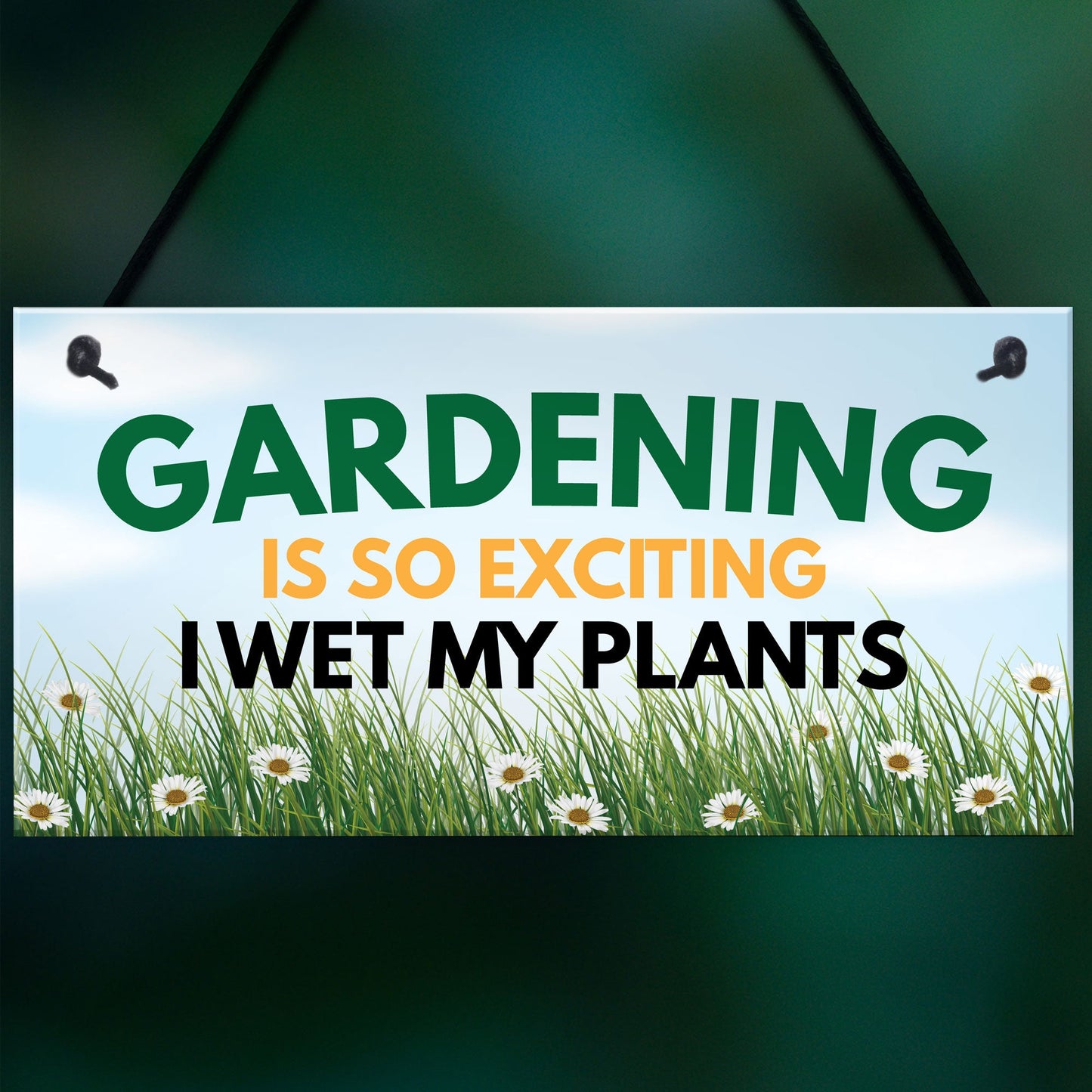 Funny Garden Signs I WET MY PLANTS Summerhouse Garden Shed Sign