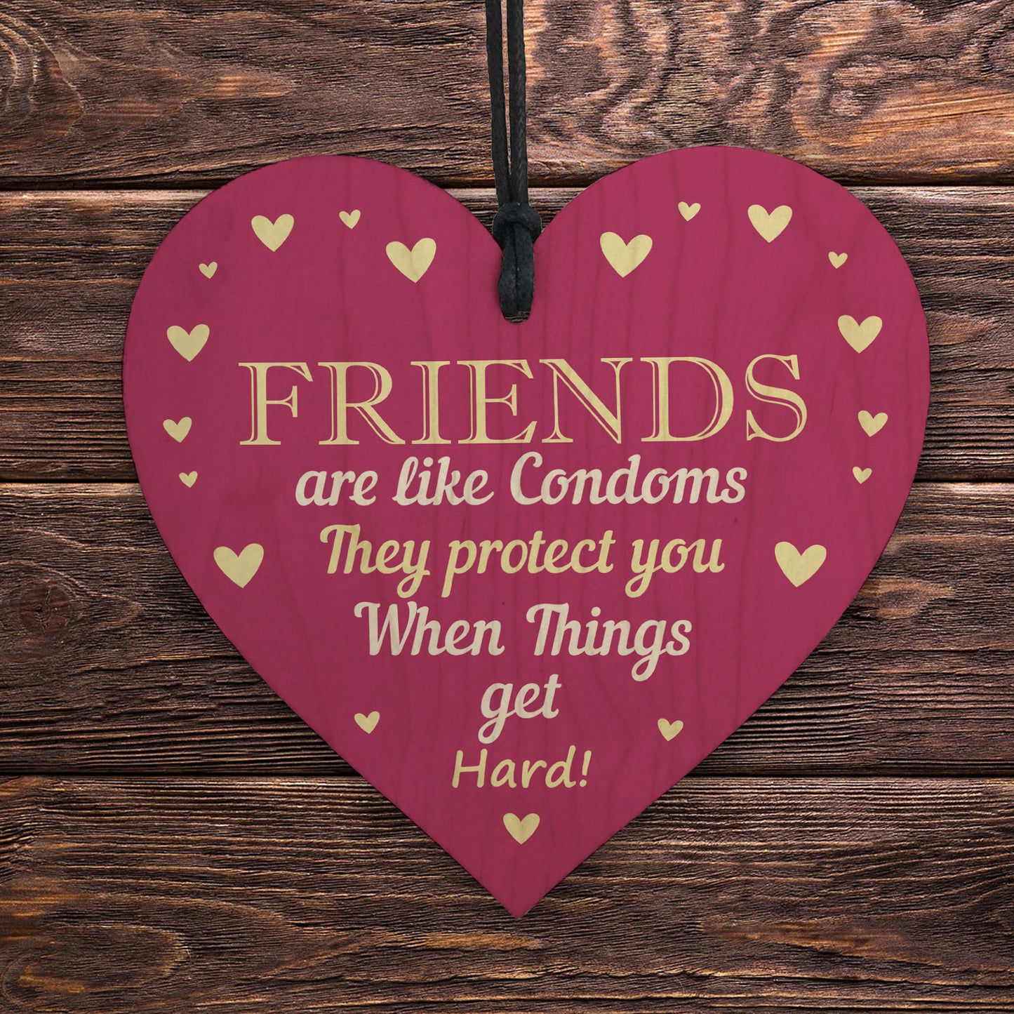Funny Rude Friendship Plaque Novelty Birthday Gift For Friend