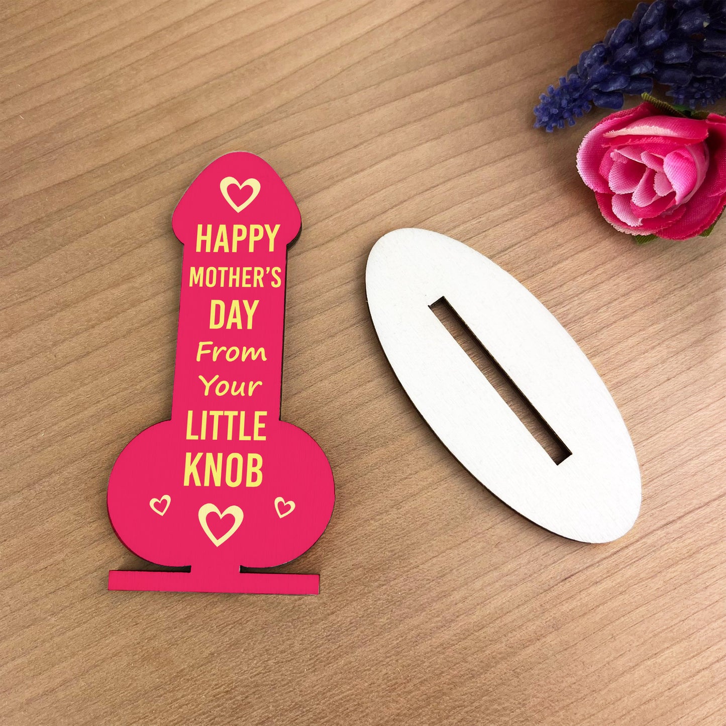 Funny Mothers Day Gift From Son Wood Plaque Joke Humour