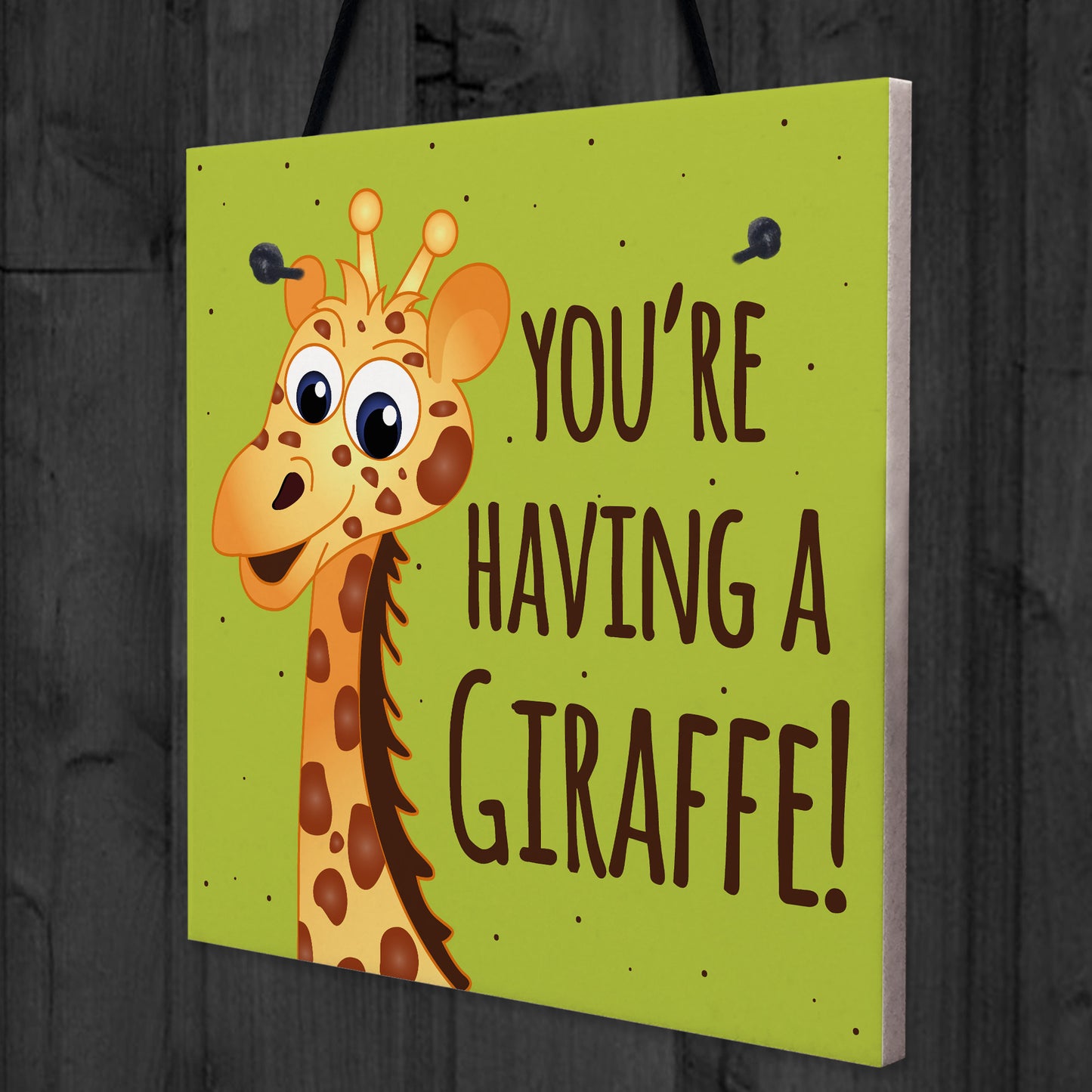 You're Having A Giraffe Plaque Funny Friendship Gifts Birthday