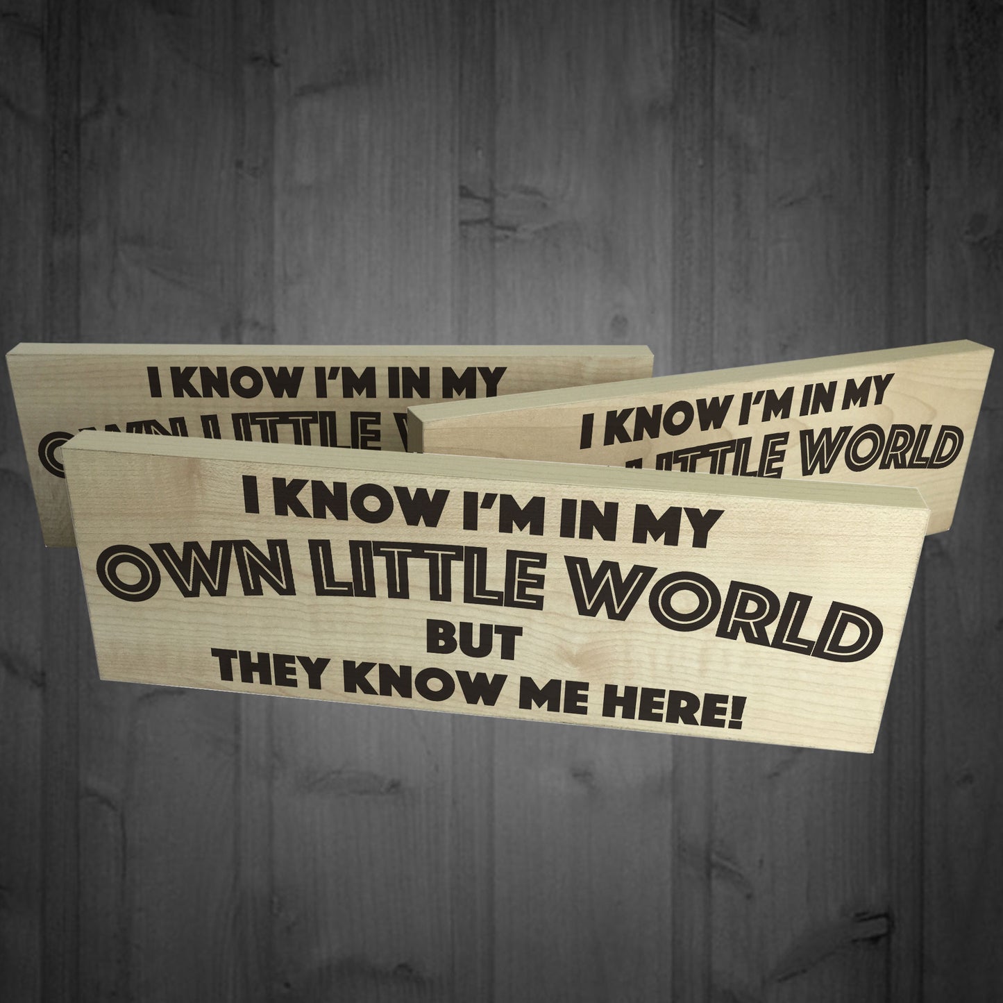 My Own Little World Wooden Freestanding Novelty Plaque