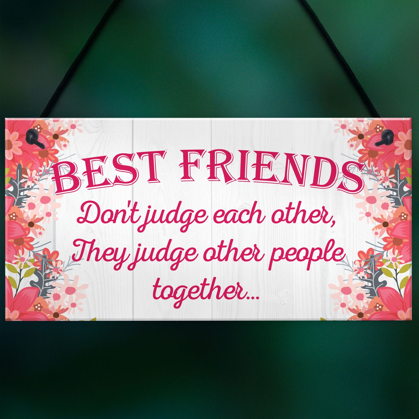 Best Friends Judge Others Friendship Love Gift Hanging Plaque