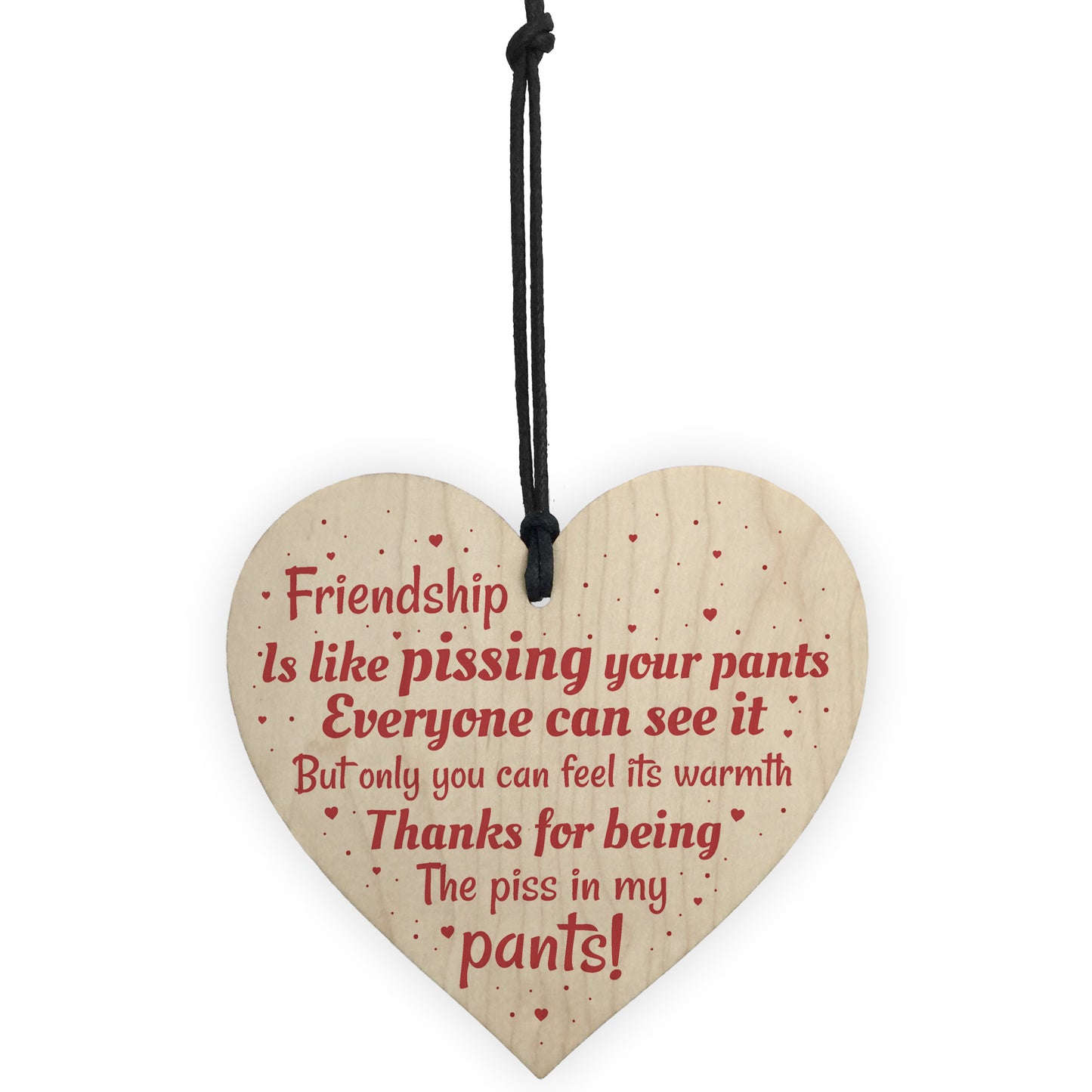 Friendship Best Friend Gift Funny Thank You Birthday Wooden Gift