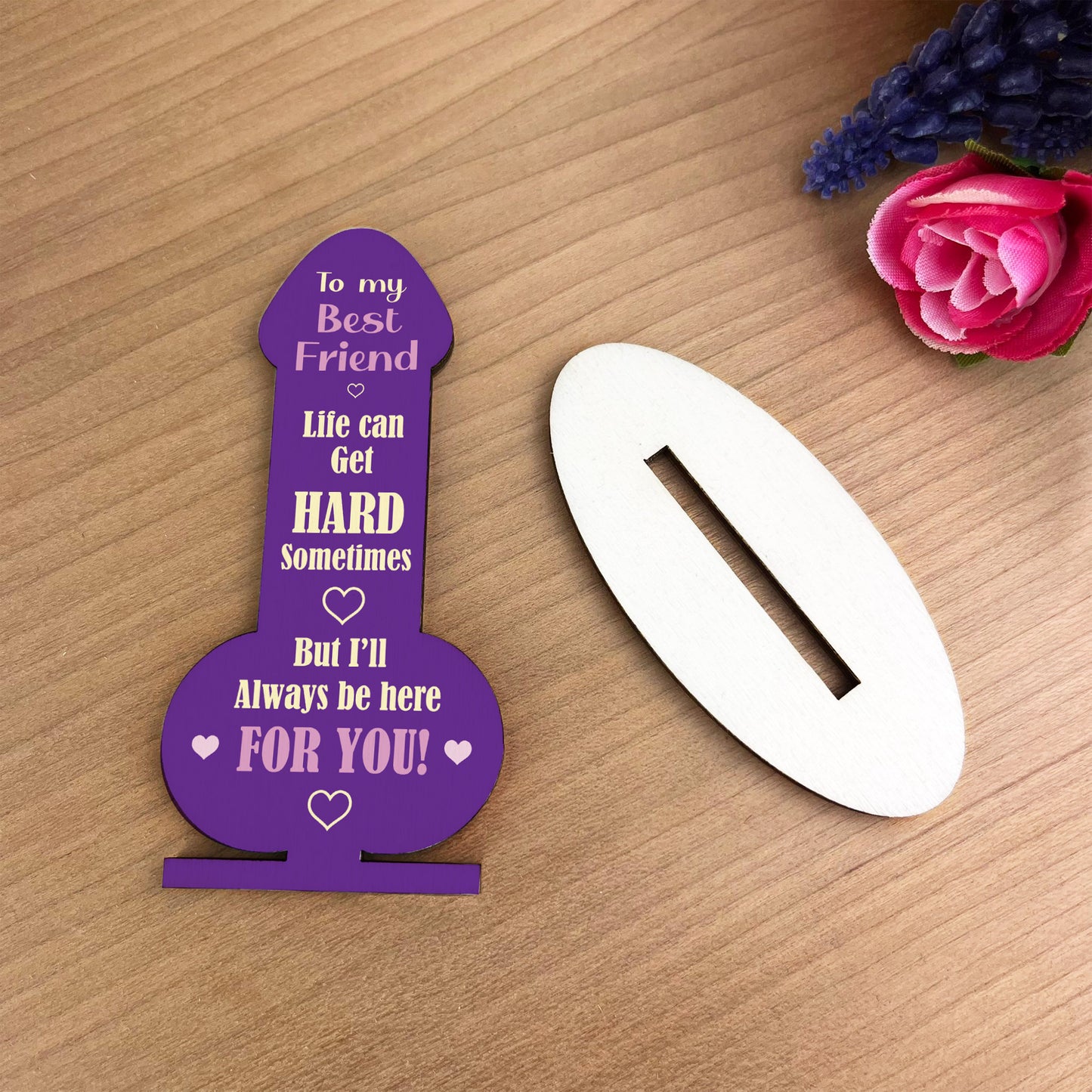 Funny Best Friend Gift Friendship Rude Plaque Gift For Friend