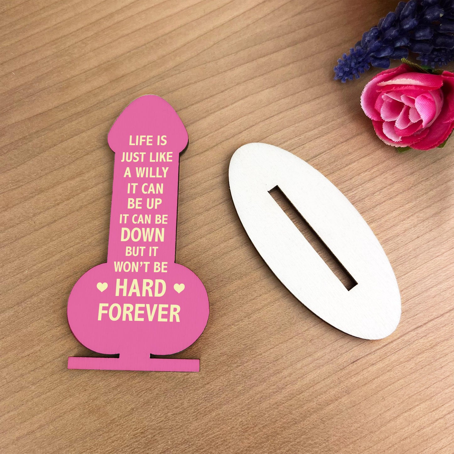 Motivational Plaque Funny Friendship Plaque Novelty Birthday