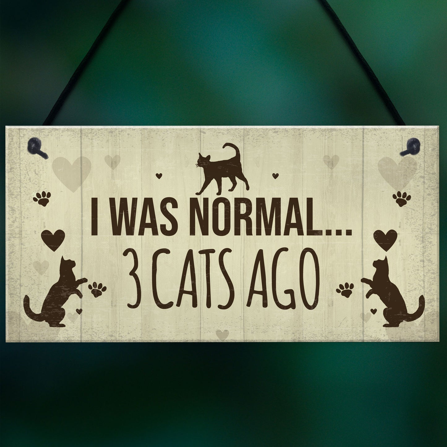 Funny Cat Gifts For Cat Lovers Birthday Cat Sign For Home Wall
