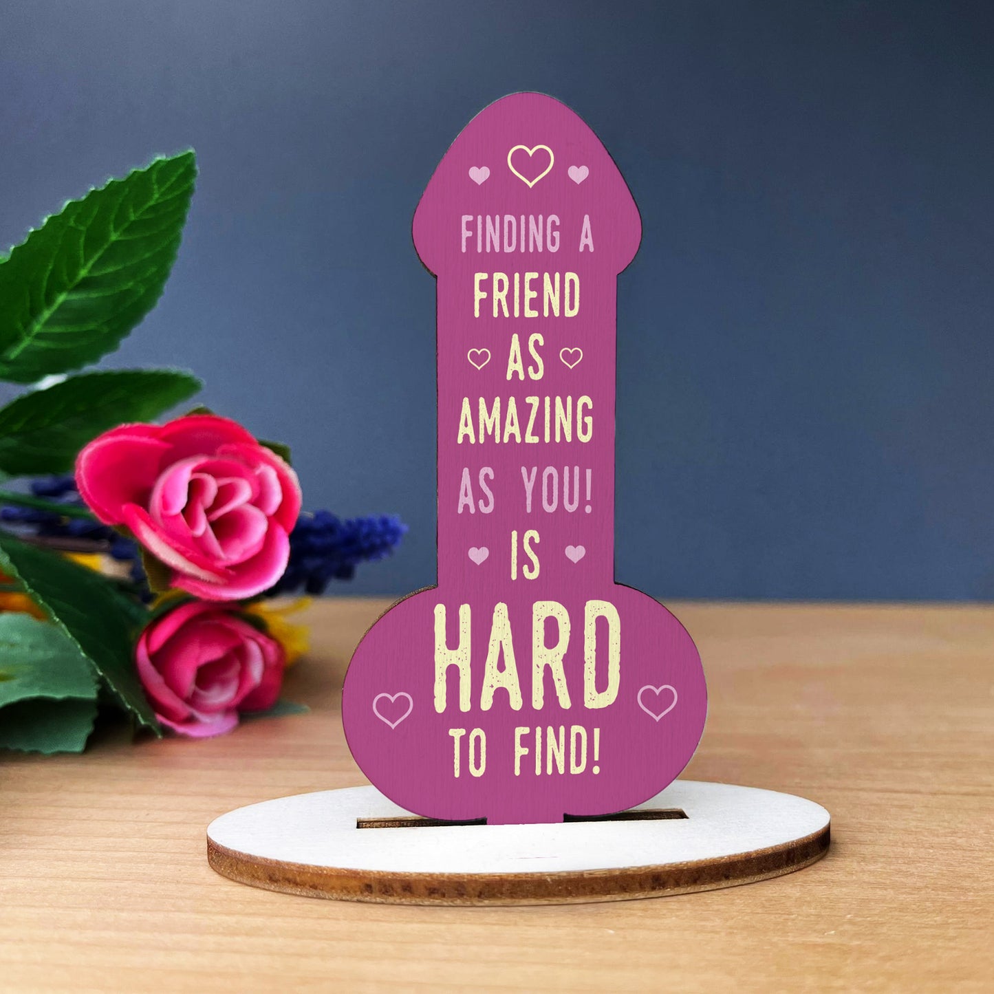 Funny Rude Friendship Plaque Novelty Plaque Birthday Friend Joke