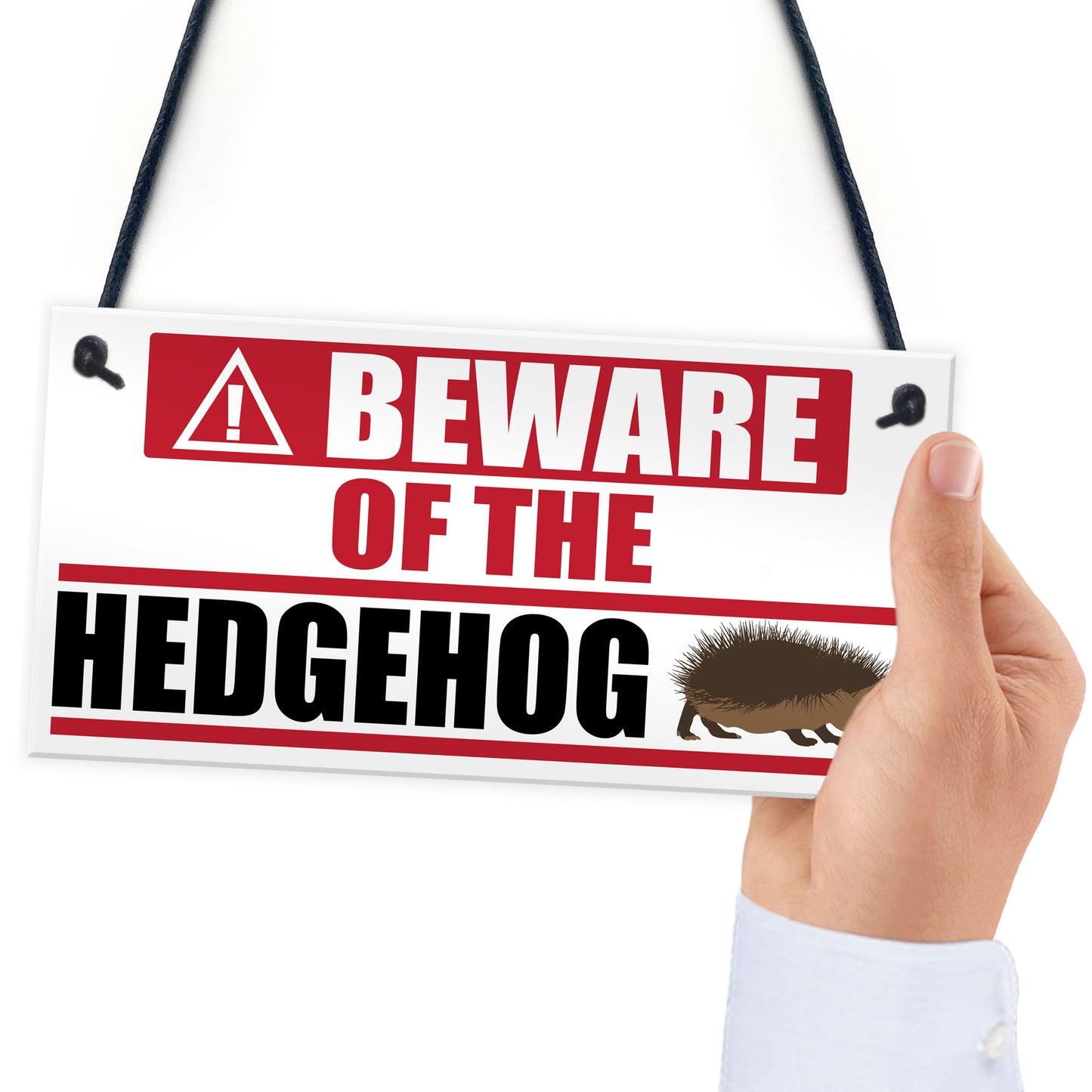 Beware Of The Hedgehog Hanging Plaque