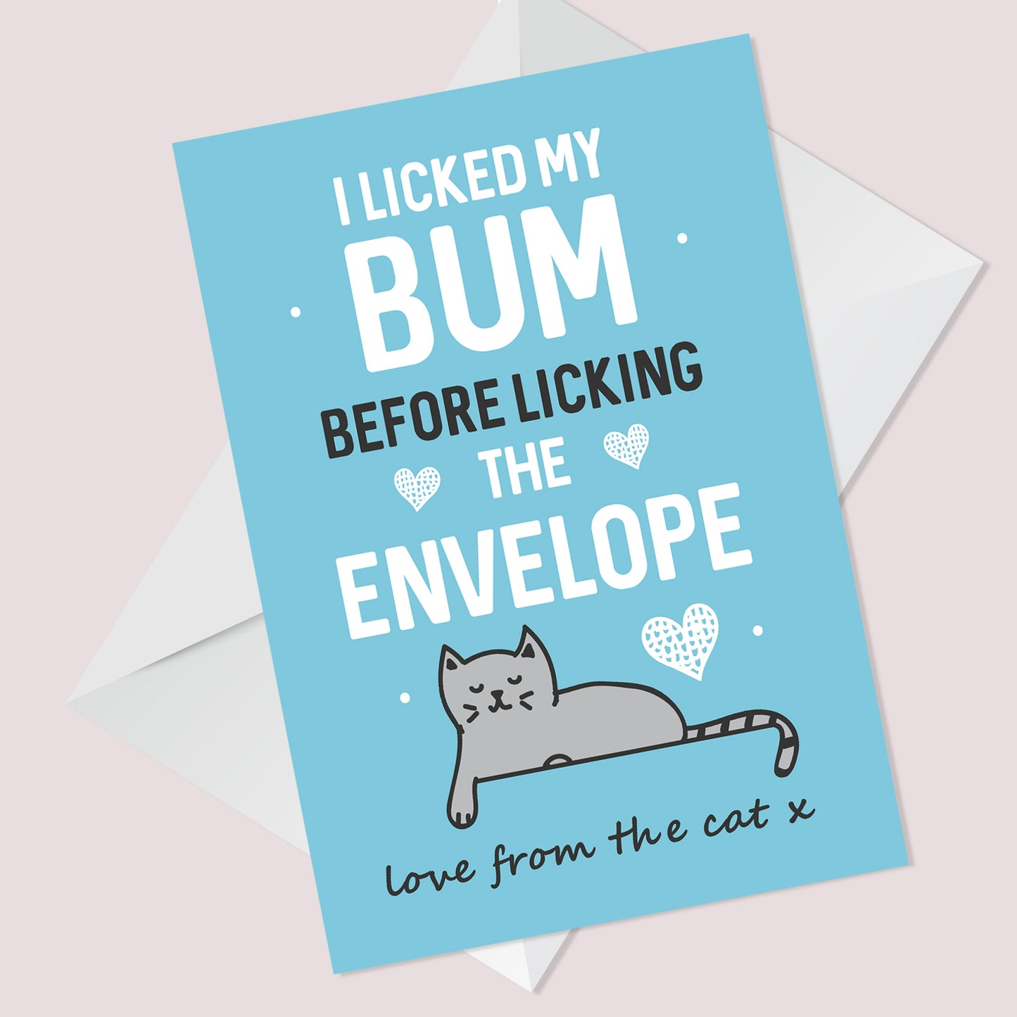Funny Birthday Card From The Cat Rude Cheeky Card For Mum Dad