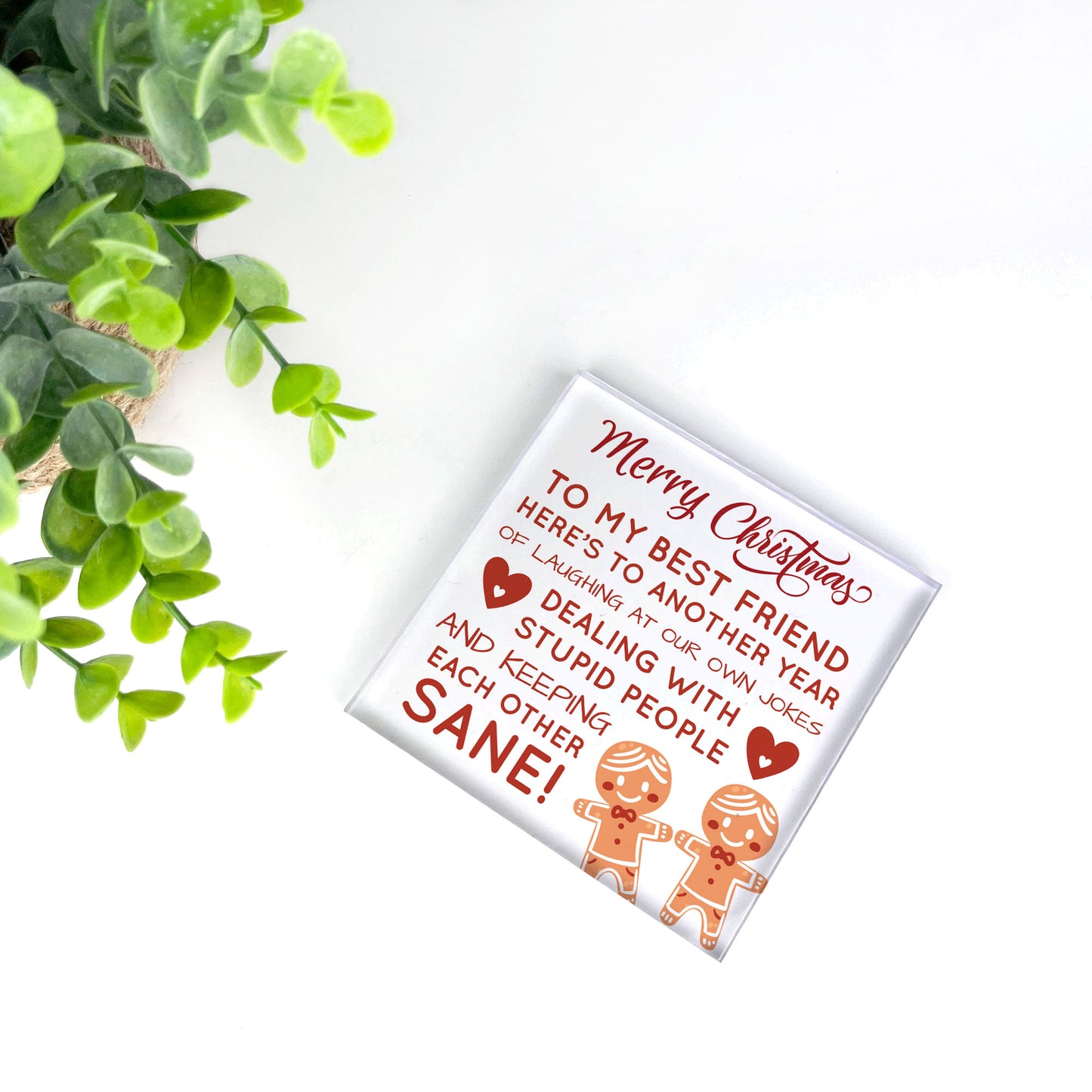 Best Friend Christmas Funny Gift For Friend Acrylic Plaque Gifts