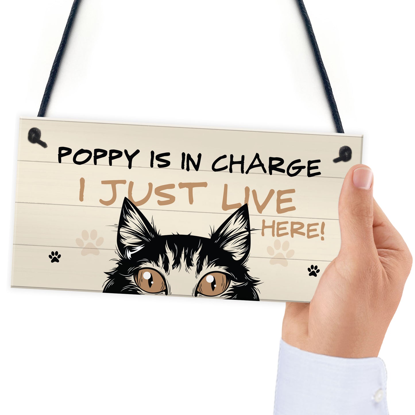 Funny Cat Sign In Charge Cat Lovers Gift For Women Home Decor