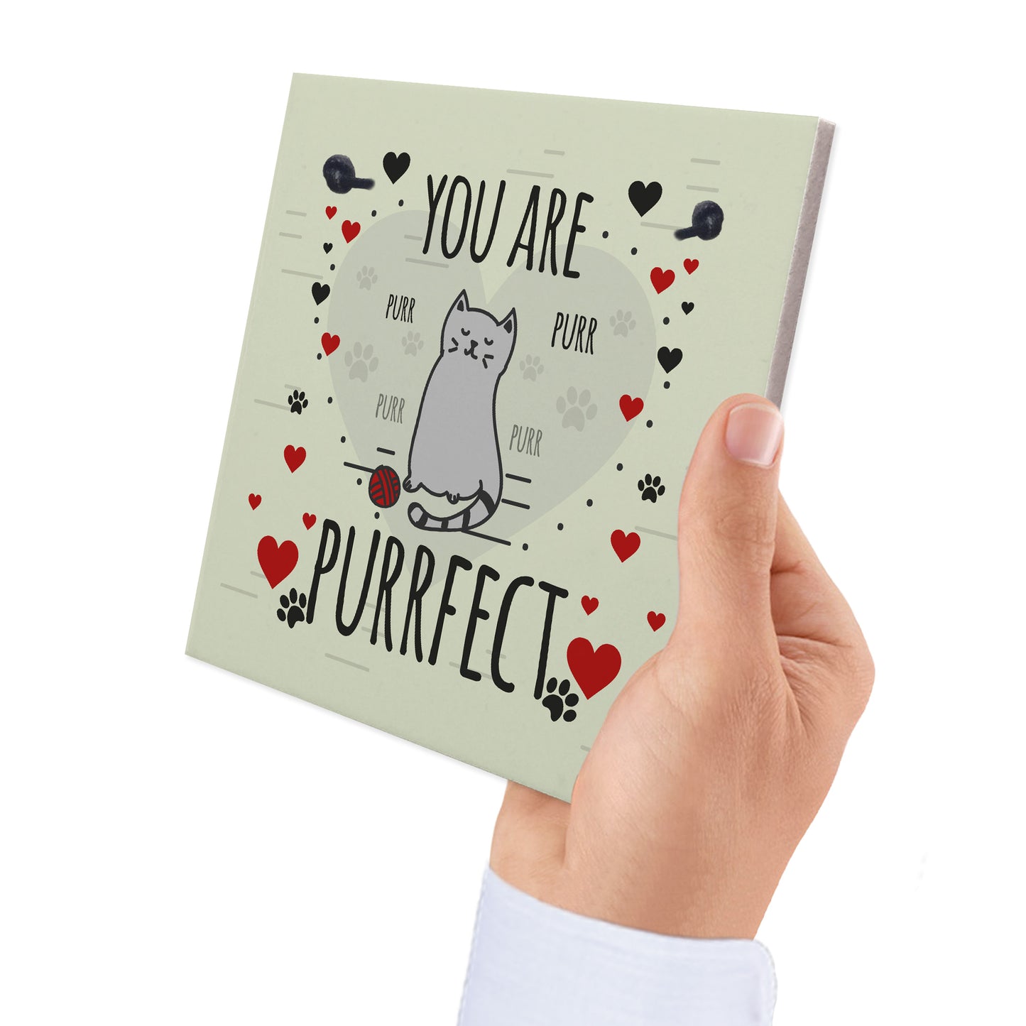 Funny Cats Sign Home Decor Crazy Cat Lady Sign Pet Lover Gifts