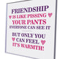 Best Friend Plaque Friendship Gift Novelty Birthday Christmas